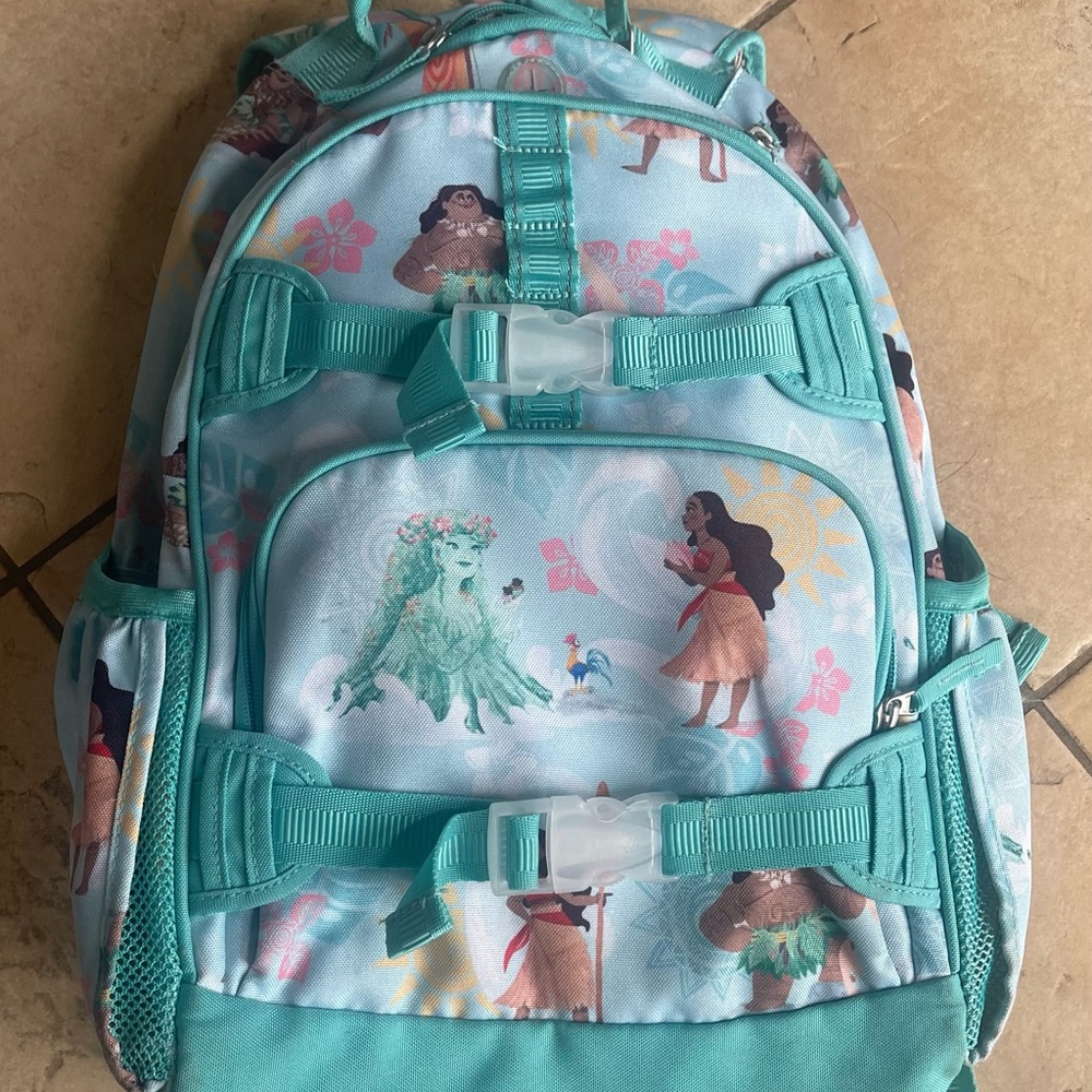 Moana Pottery Barn Backpack (large) and lunchbox (cold pack).